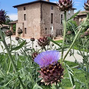 Corte Davini Vakantieboerderij