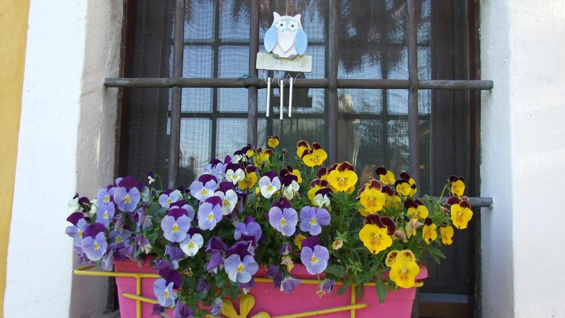Bed & Breakfast B&B Casacasina Monzambano