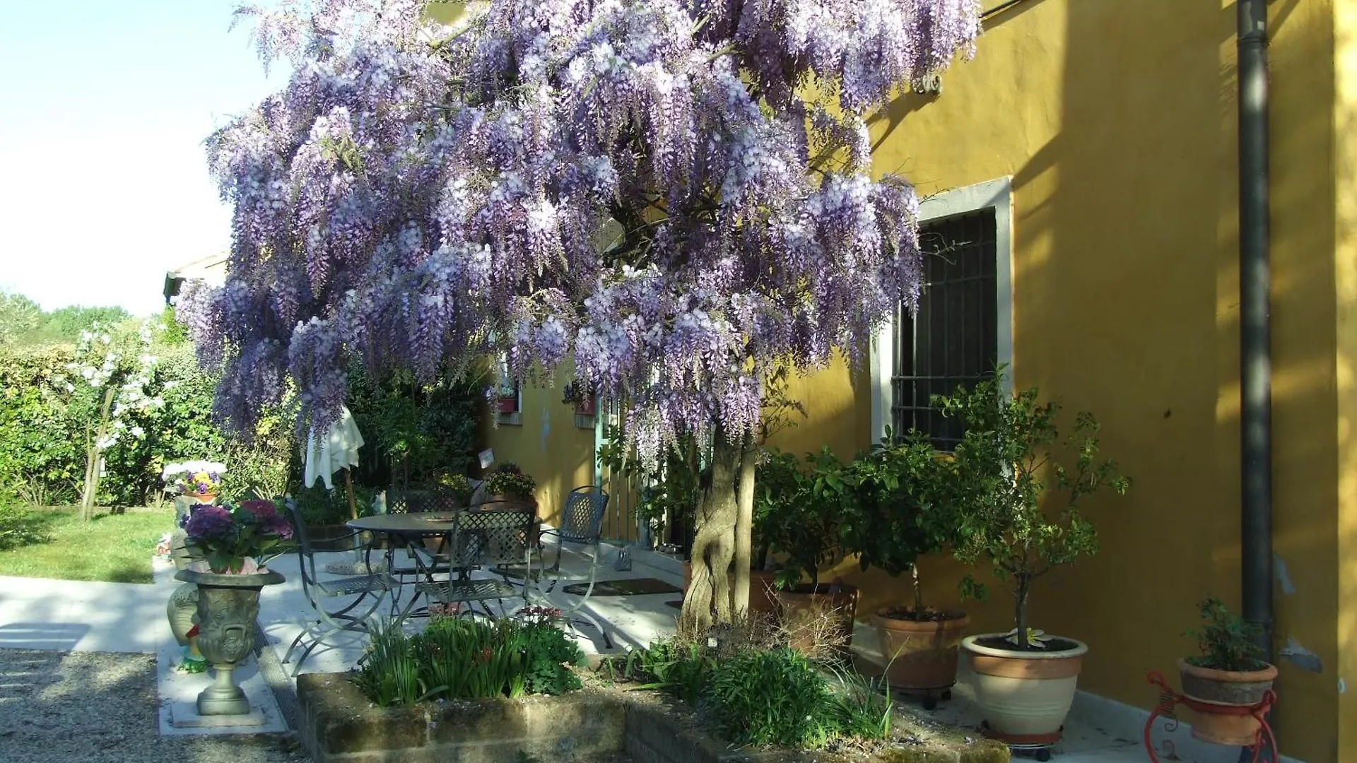 B&B Casacasina Monzambano Italy